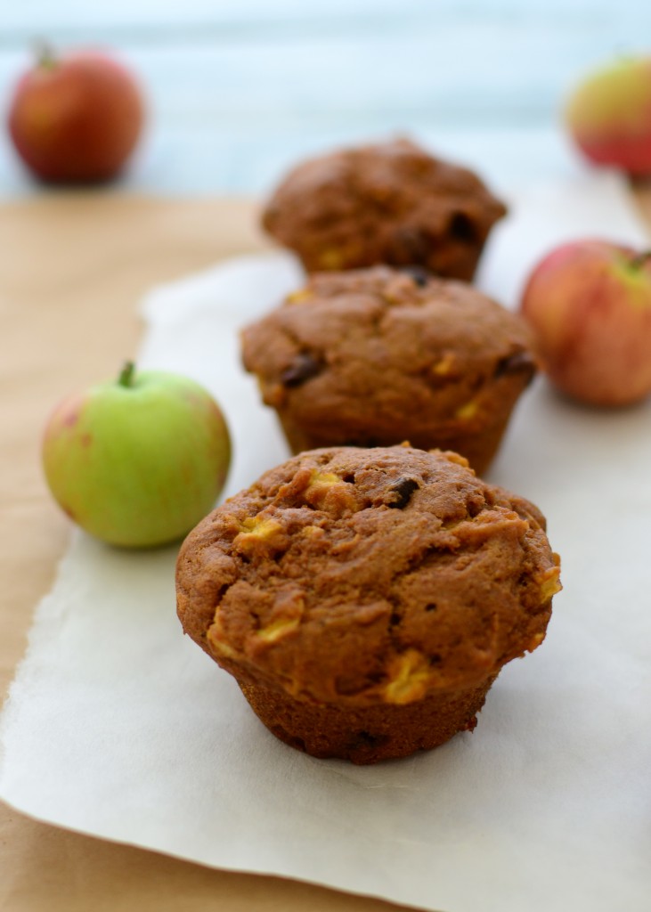 pumpkin muffins 5