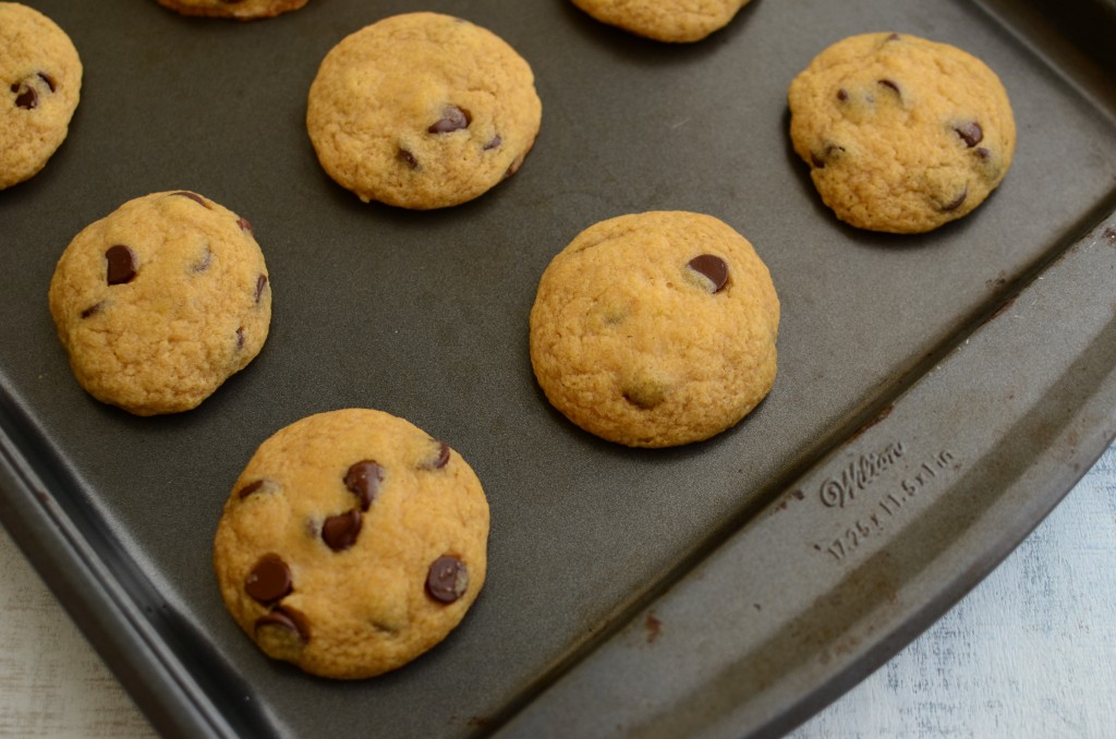 chocolate chip cookies 1