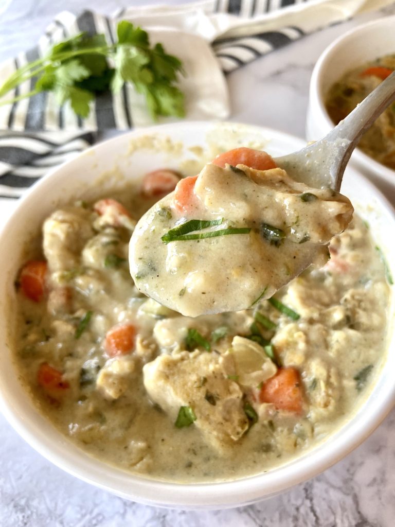 vegan chicken and dumplings bite